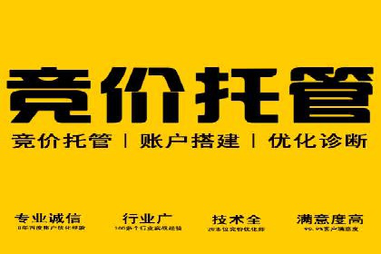案例分享：SEM运营助力电商快速增长